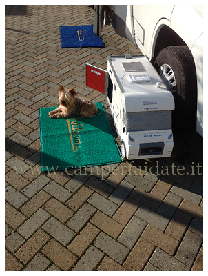 cuccia-per-cane-5-camperfaidate.it